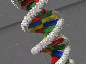 DNA Lego model