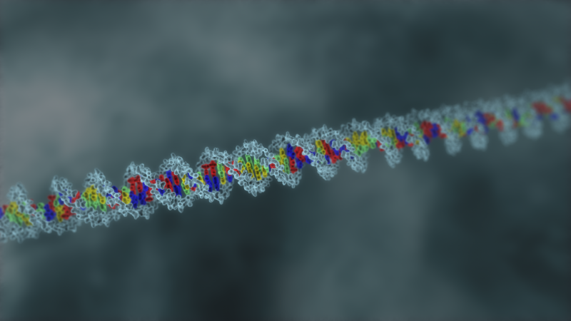 Genetics animation clips